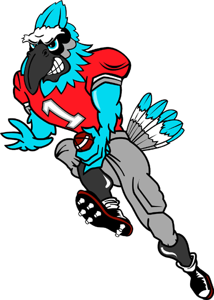 Blue Jay football player team mascot full color vinyl sports decal.  Make it personal! Blue Jay Football